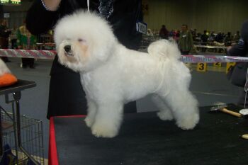 HELLEN ODEBL Z PODCHOTOUCÍ HELLEN ODEBL Z PODCHOTOUCÍ