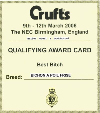 Cenná druhá kvalifikace ze třídy otevřené z Belgie Cenná druhá kvalifikace ze třídy otevřené z Belgie