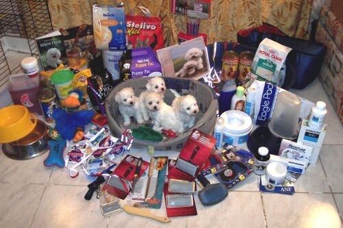 Naše nabídka Naše nabídka