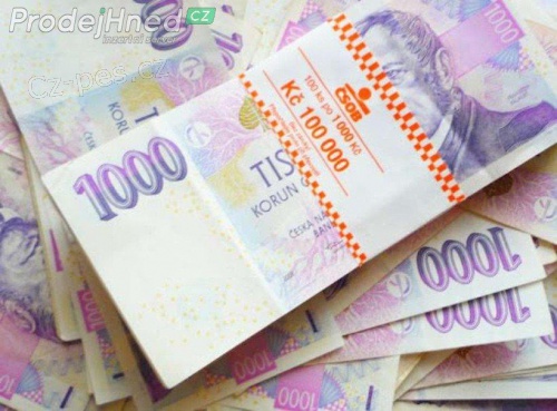 Speci�ln� p�j�ka pro v�s na 100 %