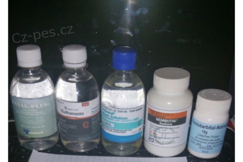 KOUPIT NEMBUTAL ONLINE, KOUPIT PENTOBARBITAL SODN�, KOUPIT INJEK�N� NEMBUTAL