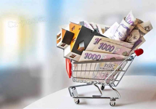 Rychl a rychl pjka na investici.