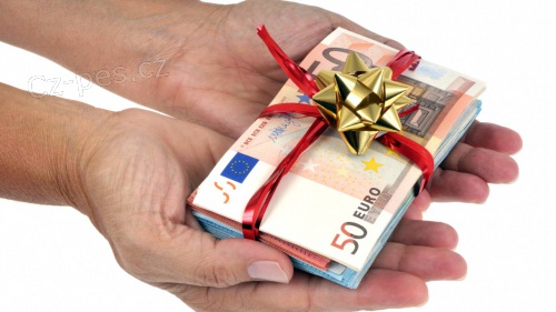 Velmi rychl nabdka pjky od 20 0000 K do 500 000 000 K.