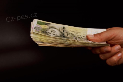 Rychl finann pjka