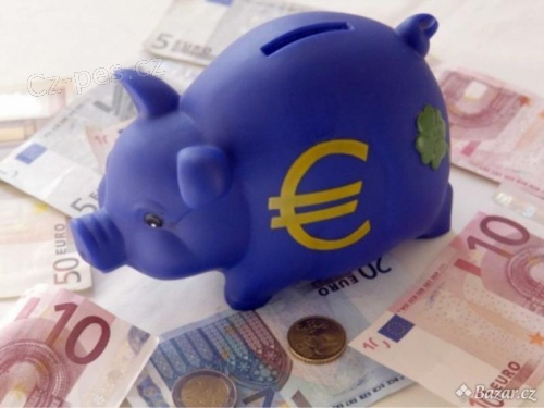 PRO JAK�KOLI TYP P�J�KY: RADOMIRKUSNIR@GMAIL.COM