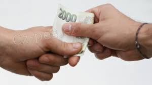 Rychl� online p�j�ka