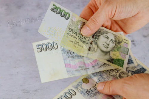 Rychl� finan�n� pomoc