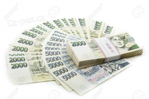 finan�n� pomoc na sv�tky