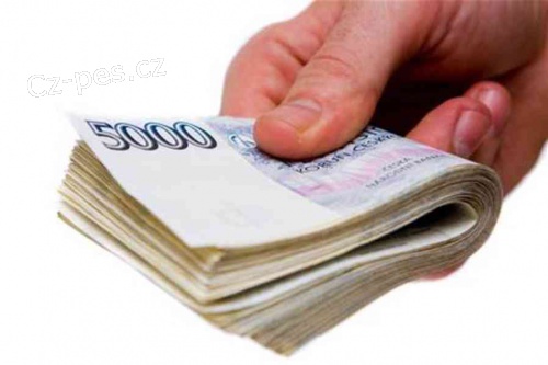 Schv�len� p�j�ky do 30 minut na v� ��et, soukrom� dohoda.