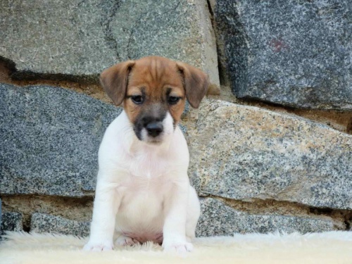 �t���tka JRT s PP k odb�ru!!