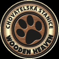 Labrador �t�n�