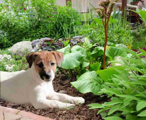 �t���tka JRT s PP k odb�ru!!