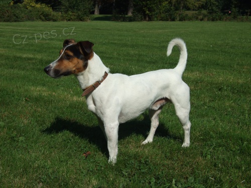 Nab�dka kryt� JRT