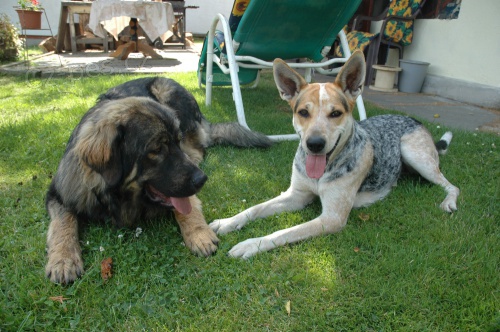 Darujeme �t�n�