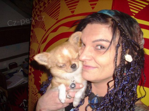 St�le hled�m �ivavu �ika slep�ho na jedno oko