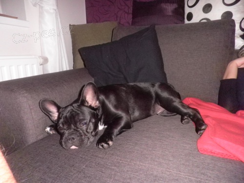 FB - nab�dka kryt�