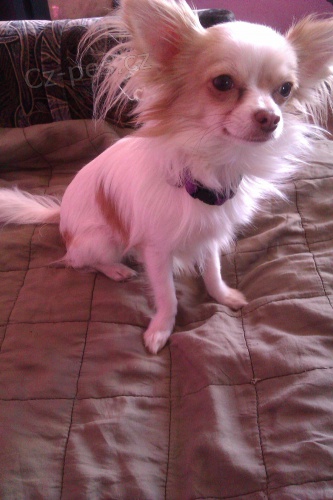 �ivav�k ke kryt�