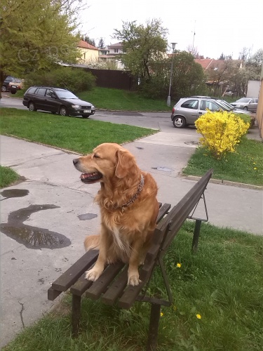 Nab�dka na kryt�