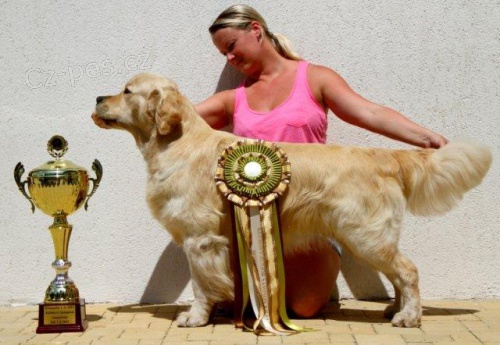 Zlat� retr�vr �t���tka s PP