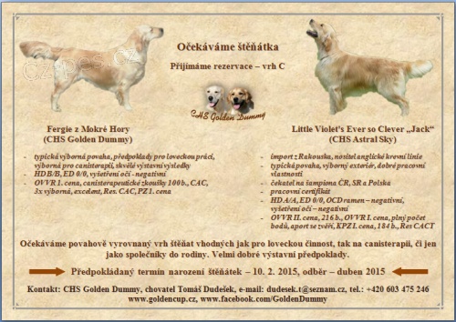 Zlat� retr�vr - zlat� �t���tka s PP