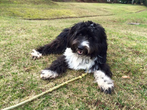 Vo��ek hled� fenku