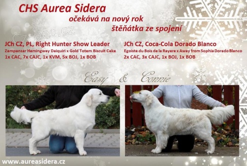 �t�n� Zlat� Retriever s PP