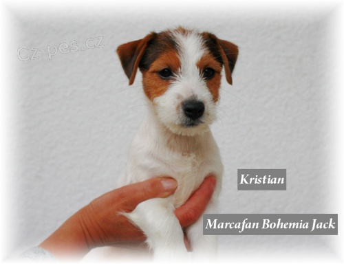 �t���tka JRT s PP