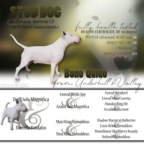 Nab�dka ke krit� 