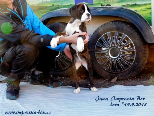 S PP ��h.Ch.st. Impressia-Box