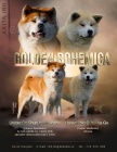 Akita Inu s PP