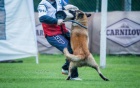 tata Belgick ovk Tervueren - Pracovn spojen
