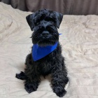 mal�ch kn�ra��