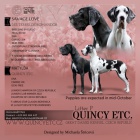 N�meck� doga -�t��ata s PP