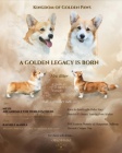 Vel�sk� Corgi Pembroke �t��ata
