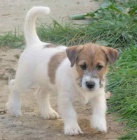 �t���tka JRT s PP !!!