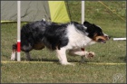 agility tbor