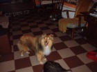 eltie z Vesniky u hranic