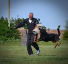 beauceron s PP