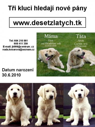 �t�n�tka - Zlat� retr�vr