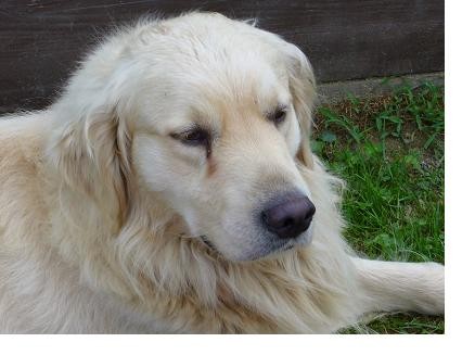 ST�LE SE HLED�....