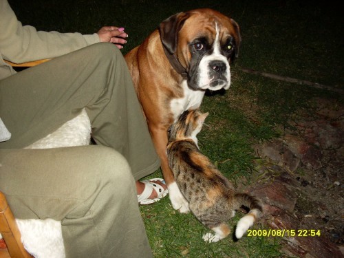 hled�me fenku zlat� boxerky