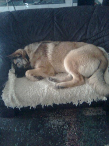 ST�LE  HLED�ME !!!!!!!