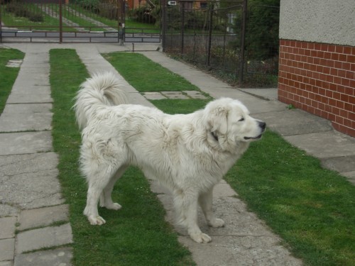 Slovensk� �uva�