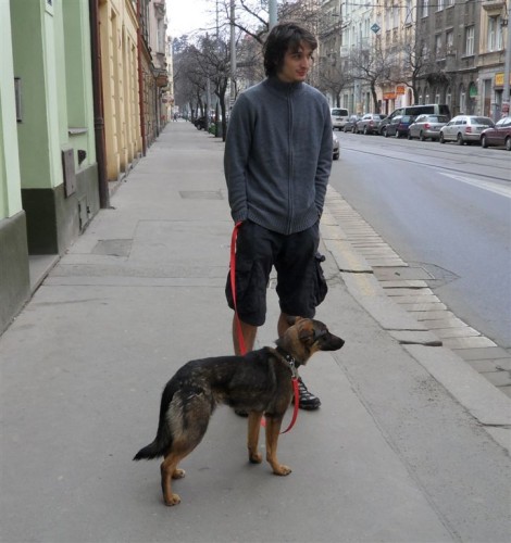 B�na - fena, drobn� k��enec vl��ka