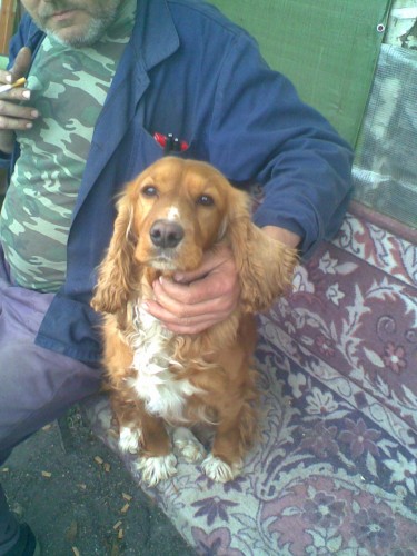 Pros�m v�echny o pomoc