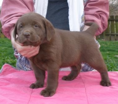 �t��ata LR s PP