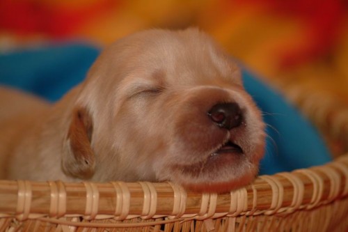 �t���tka v�ech t�� barev