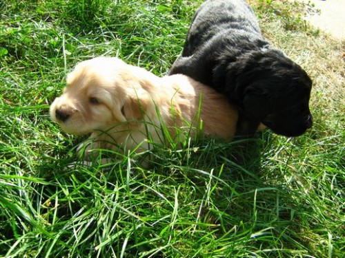 Prod�m �t��ata s PP