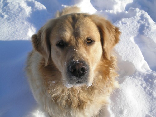 Nab�z�m ke kryt�