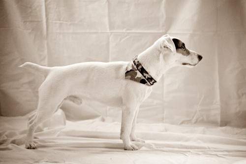 JRT bez PP ke kryt�